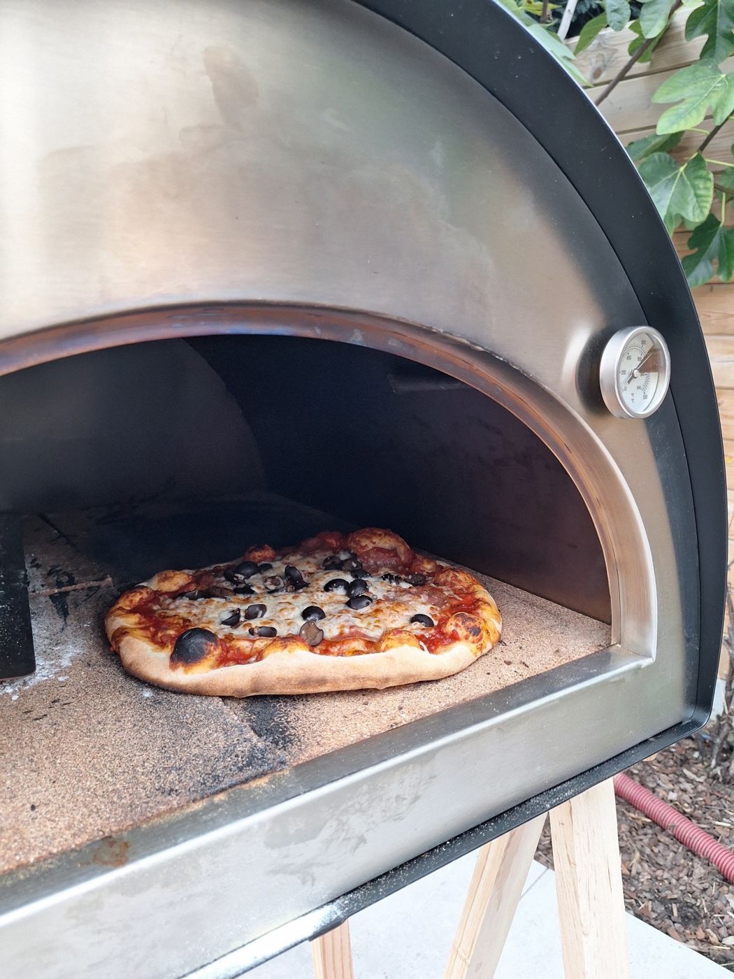 Close-up van een gebakken pizza in de oven